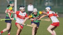 Camogs start league with narrow defeat