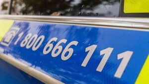 Pedestrian (70s) killed in Laois collision is named locally