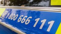 Pedestrian (70s) killed in Laois collision is named locally