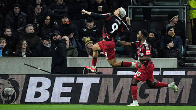 Wolves still hovering above relegation zone after home defeat to Fulham