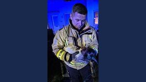 Dublin firefighters receive award from PETA for rescuing cat from burning house