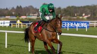 Mullins busy at Navan and Leopardstown this weekend