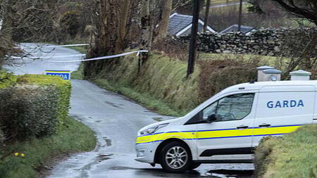 Teenager and man (20s) killed following single-vehicle collision in Co Donegal