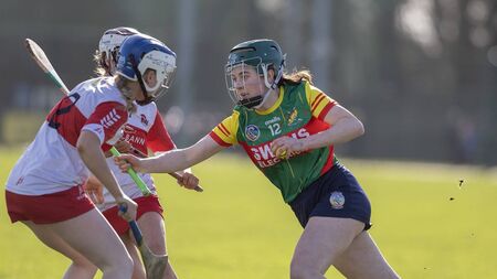 Coady wins the day for Carlow