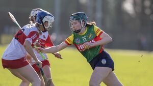 Coady wins the day for Carlow