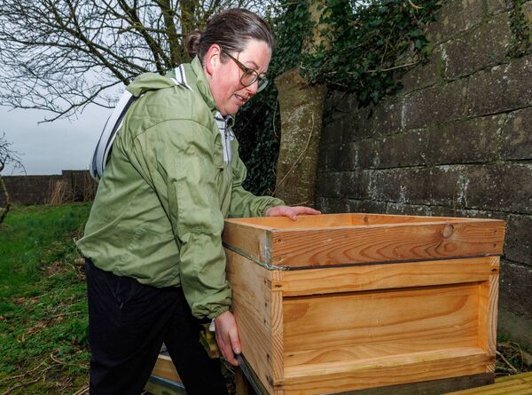 Lorna Nolan ‘hefts the hive’ in her garden Lorna Nolan ‘hefts the hive’ in her garden