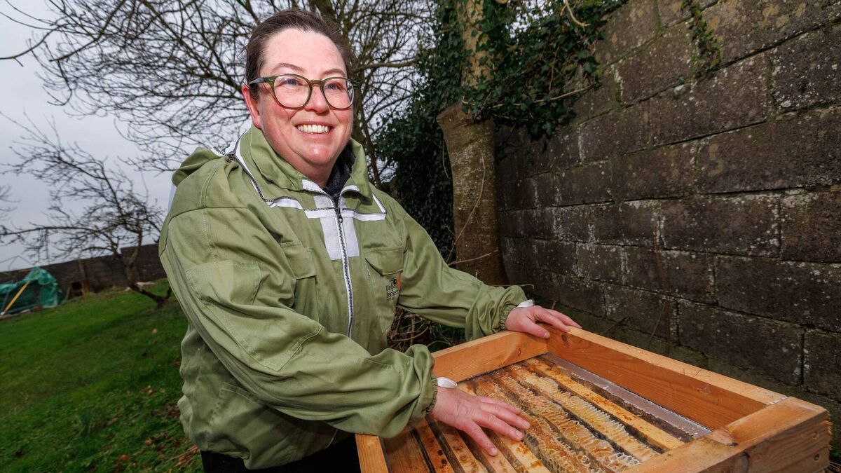 Techie find her sweet spot in bees