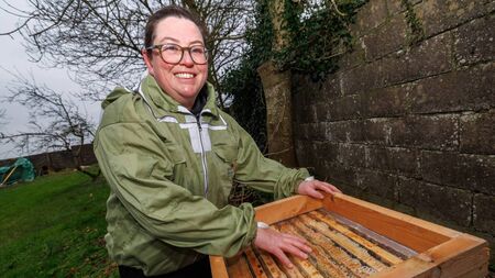 Techie find her sweet spot in bees