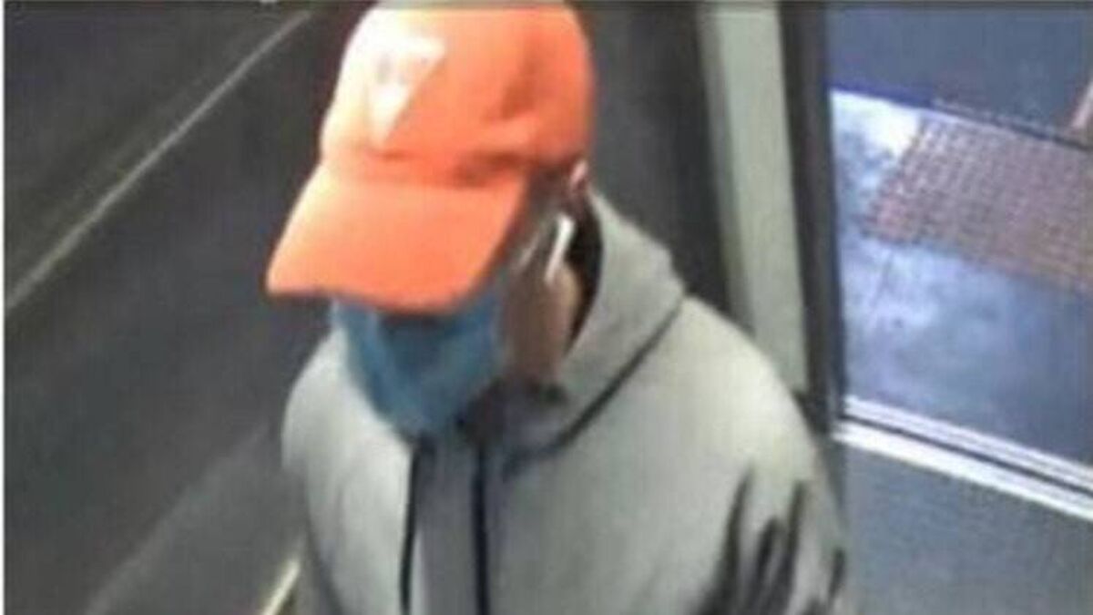 Alleged train groper granted bail