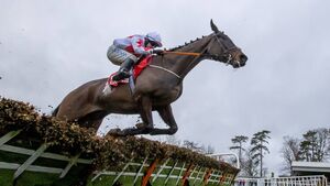 Gowran Park Racecourse: preview and tips for Saturday’s seven-race card Gowran Park Racecourse: preview and tips for Saturday’s seven-race card