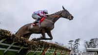 Gowran Park Racecourse: preview and tips for Saturday’s seven-race card 