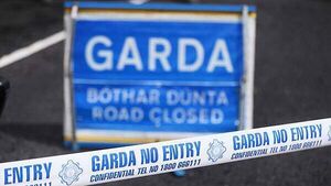 Pedestrian (50s) dies after collision with bus in Co Galway Pedestrian (50s) dies after collision with bus in Co Galway