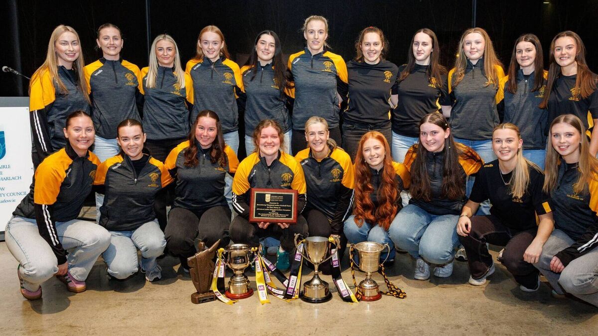 Tinryland/Bennekerry honoured at civic reception for All-Ireland win