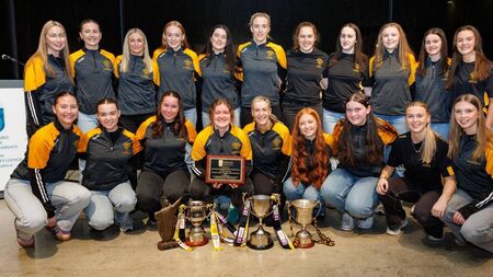 Tinryland/Bennekerry honoured at civic reception for All-Ireland win