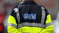 Gardaí appeal for witnesses after discovery of man's body in Dublin's Grand Canal