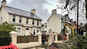 ‘No routes’ for NIE Networks to make compensation payments after Storm Éowyn ‘No routes’ for NIE Networks to make compensation payments after Storm Éowyn