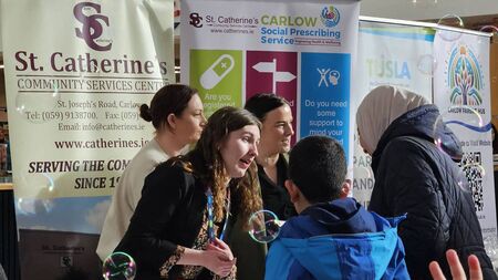 New online resource for Carlow families