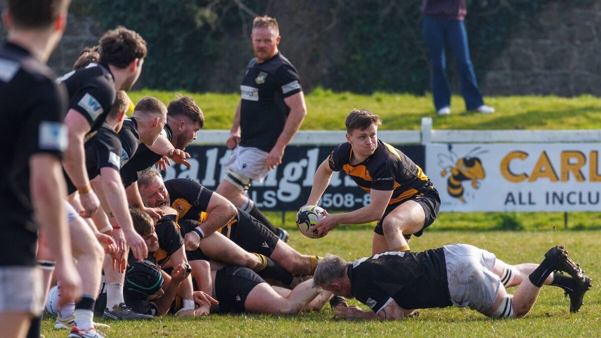 Carlow stumble into Towns Cup quarter-final