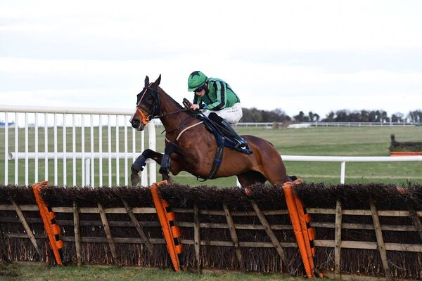 Paddy Hanlon onboard Hewick on the way to winning the Jimmy Neville Hurdle at Thurles last Saturday Photo: Healy Racing Paddy Hanlon onboard Hewick on the way to winning the Jimmy Neville Hurdle at Thurles last Saturday Photo: Healy Racing
