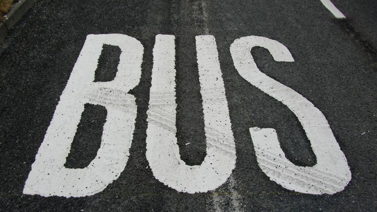 Call for Castledermot bus stop for students