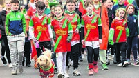 St Patrick's Day parade in Carlow Town
