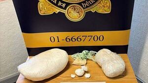 Man arrested as over €540,000 of drugs seized in Co Dublin Man arrested as over €540,000 of drugs seized in Co Dublin