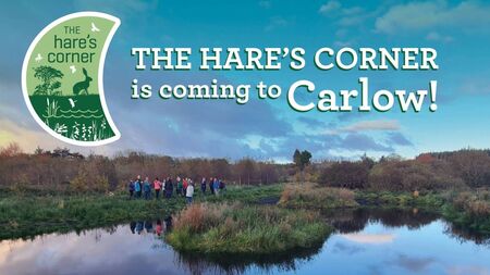 Hare’s Corner project will support farmers in creating space for nature