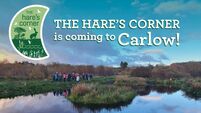 Hare’s Corner project will support farmers in creating space for nature 