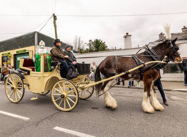 St Patrick makes a grand entrance carried down the town in a traditional horse-drawn carriage