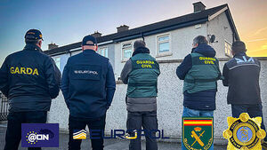 Spanish police and gardaí arrest 20 in operation targeting drug trafficking gang