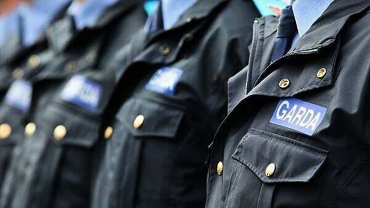 Judge orders a halt to disciplinary process against probationer garda