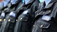 Judge orders a halt to disciplinary process against probationer garda