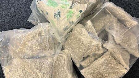 Cannabis worth more than €500,000 seized after lorry searched