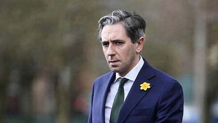 Pharmaceutical exports could be cut by half if tariffs applied, Tánaiste warns