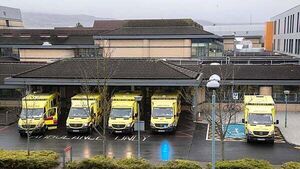 Pensioner assaulted while waiting in hospital settles case for €450,000 Pensioner assaulted while waiting in hospital settles case for €450,000