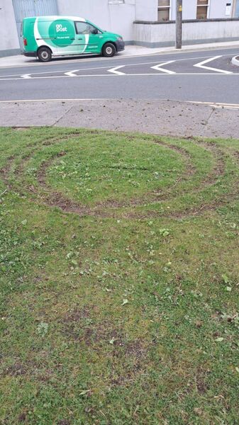 Some of the damage caused Some of the damage caused