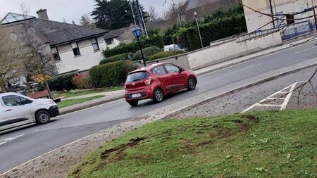 Rampaging bikers rip up flower beds in Carlow town