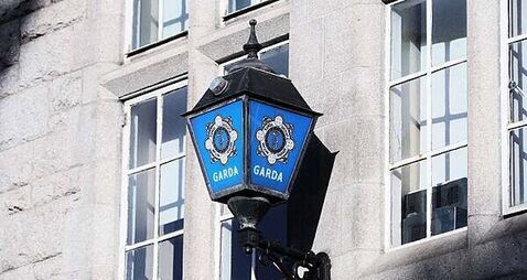Woman (50s) to appear in court after cash and XL Bully dogs seized at Dublin residence