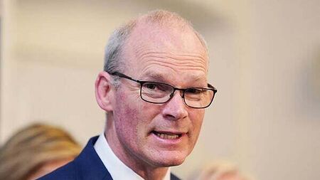 Ex-minister backs calls for government support for firms affected by US tariffs