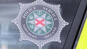 Man (25) arrested in relation to Down wildfire Man (25) arrested in relation to Down wildfire