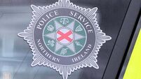 Man (25) arrested in relation to Down wildfire