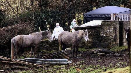 Ireland accused of ‘wasting seven years’ in Kieran Doherty inquest
