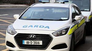 Man and woman (20s) arrested in Dublin as part of investigations into organised crime Man and woman (20s) arrested in Dublin as part of investigations into organised crime