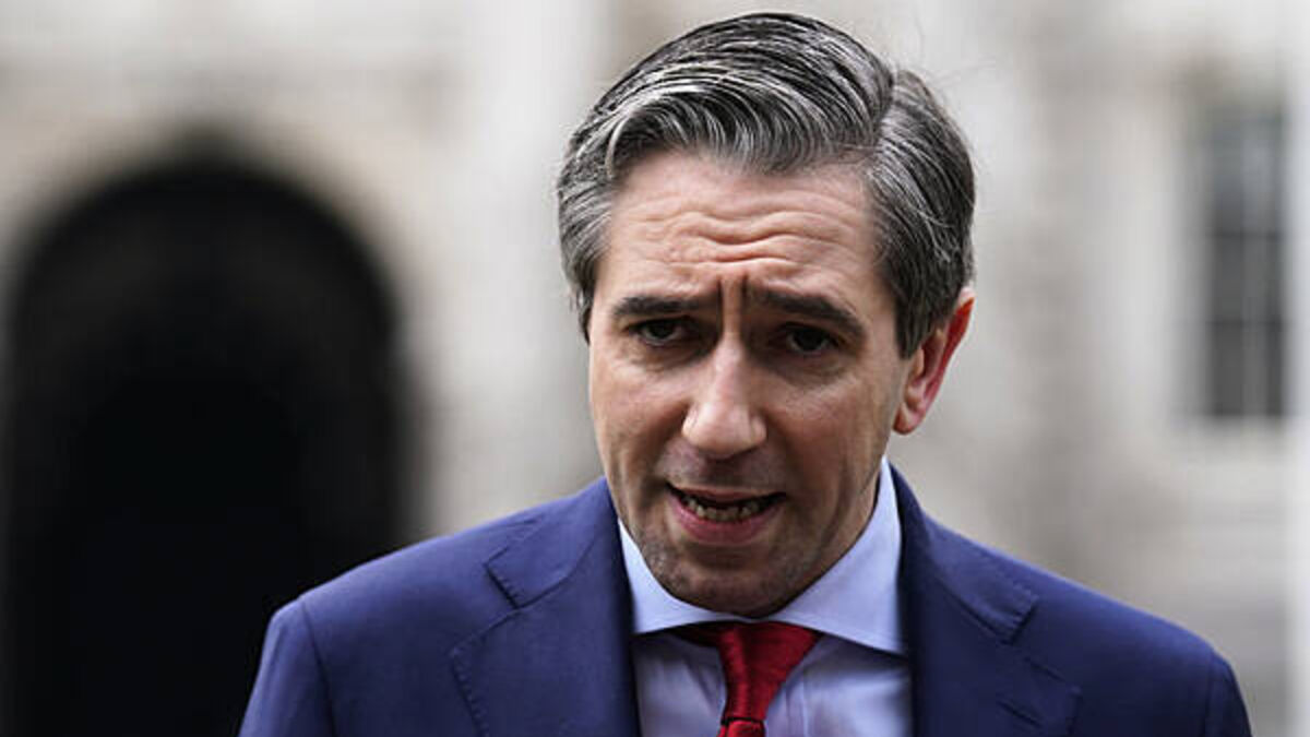 EU-US negotiations ‘likely’, says Simon Harris