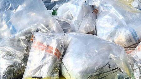 Drugs worth €990,000 seized following search in Co Down