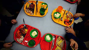 Nutritional value of hot school meals to be reviewed by Government Nutritional value of hot school meals to be reviewed by Government