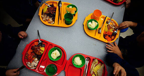 Nutritional value of hot school meals to be reviewed by Government