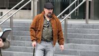Man cautioned for Leinster House trespass after Palestine flag hoisting