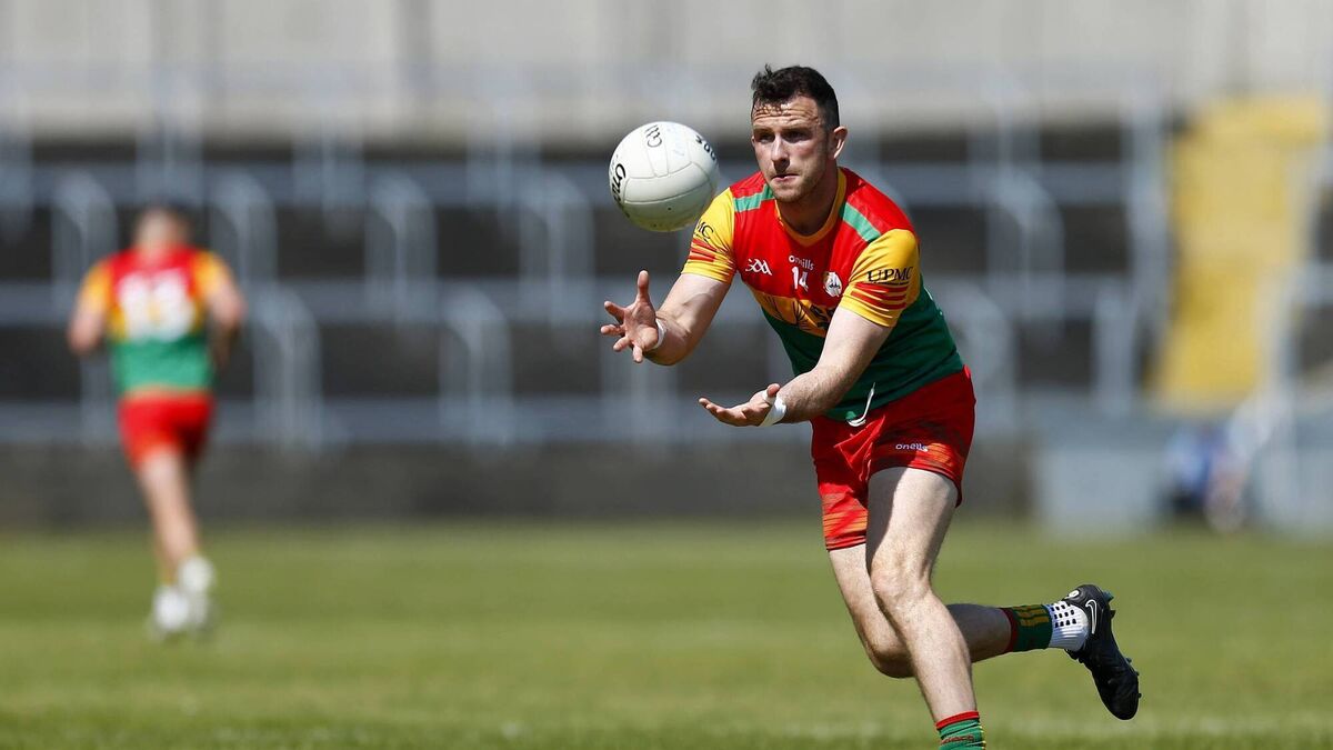 Foley returns to Carlow squad