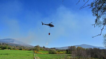 Fire service issues appeal after fires on Mt Leinster
